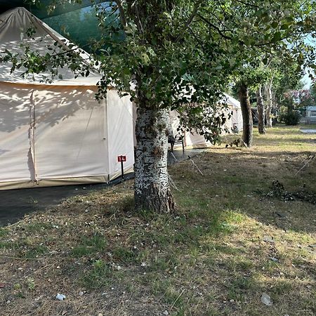 Paliouri Luxury Bungalows Dış mekan fotoğraf