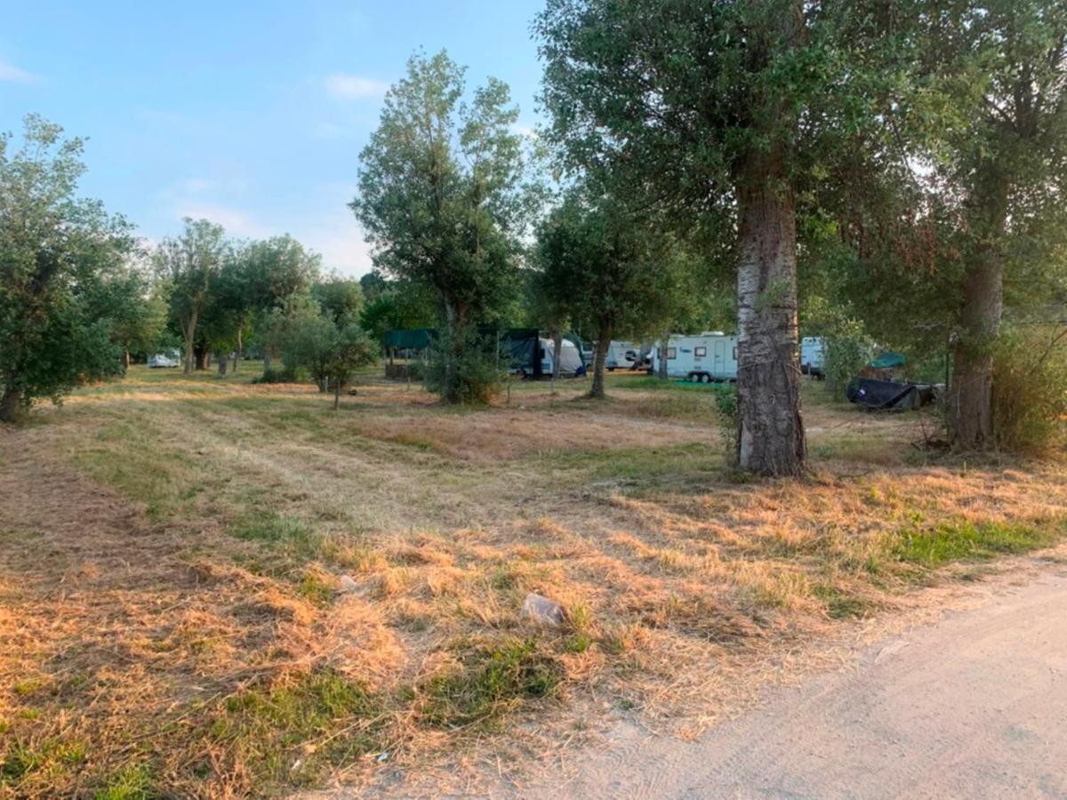 Paliouri Luxury Bungalows Dış mekan fotoğraf