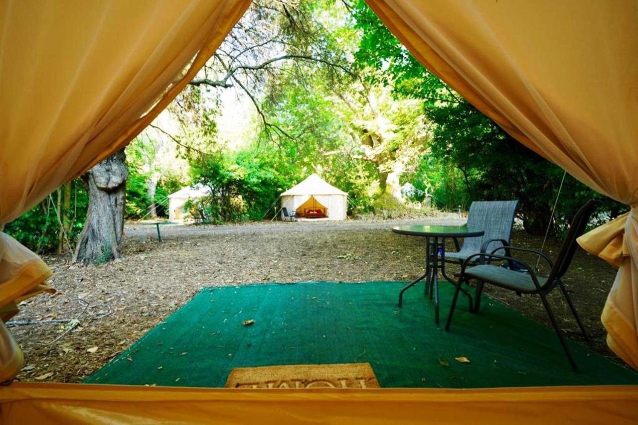 Paliouri Luxury Bungalows Dış mekan fotoğraf