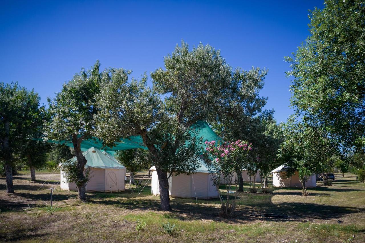 Paliouri Luxury Bungalows Dış mekan fotoğraf