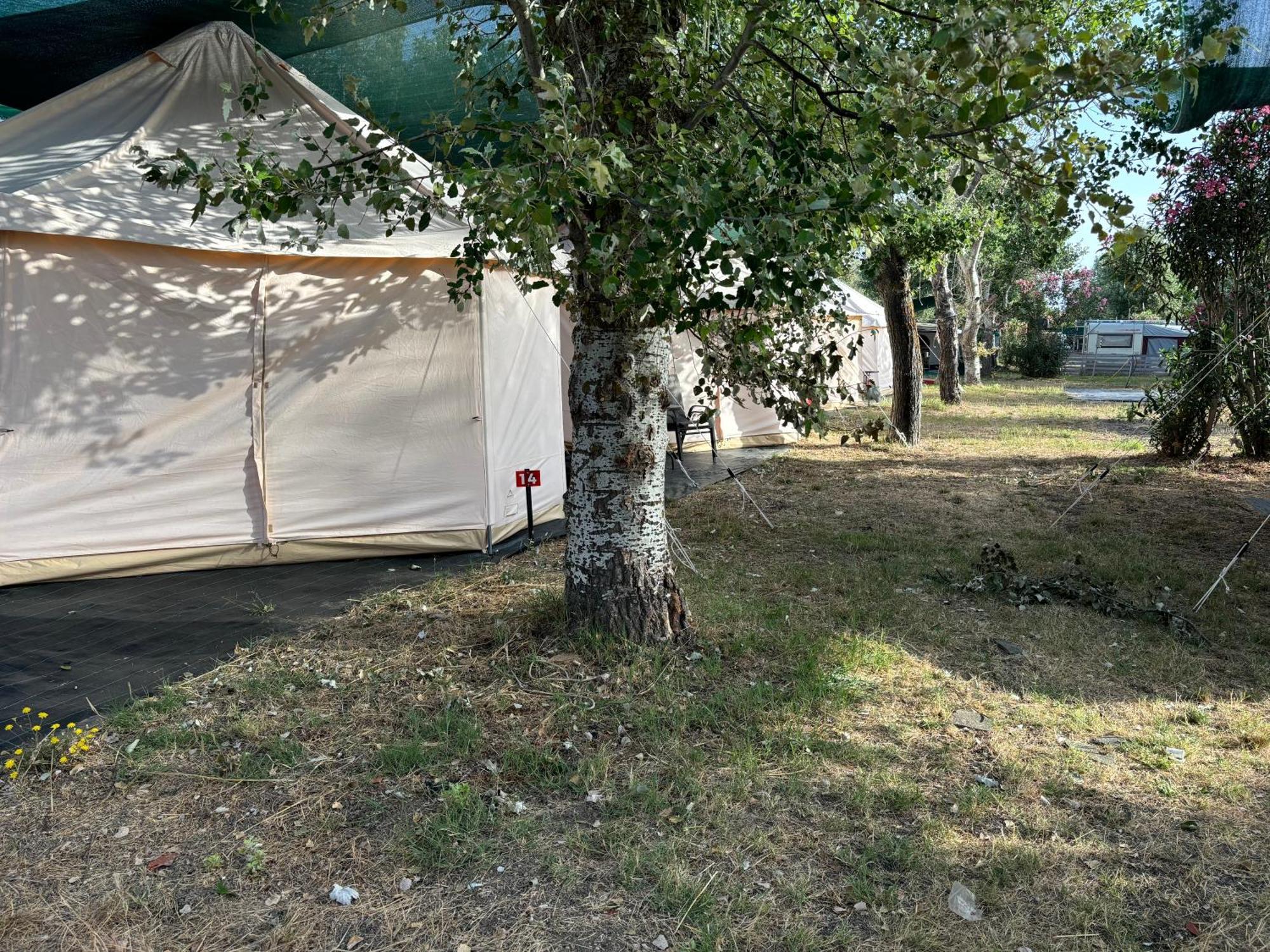 Paliouri Luxury Bungalows Dış mekan fotoğraf